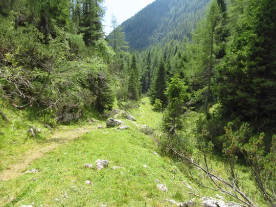 Dettaglio del percorso