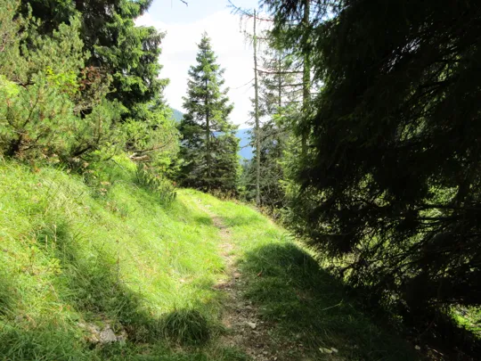 Dettaglio del percorso