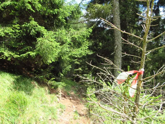 Dettaglio del percorso