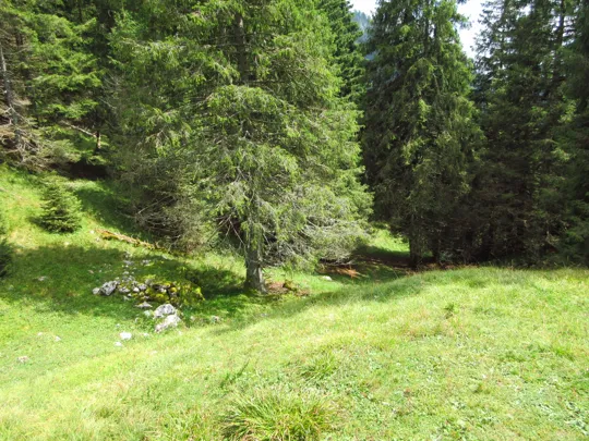 Dettaglio del percorso