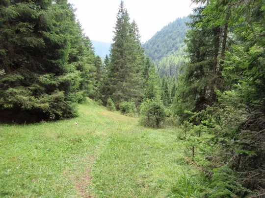 Dettaglio del percorso