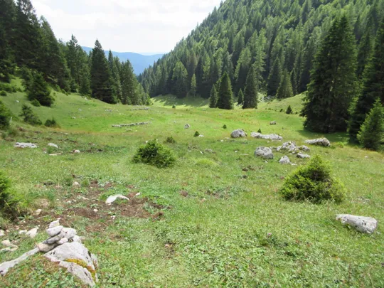 Dettaglio del percorso