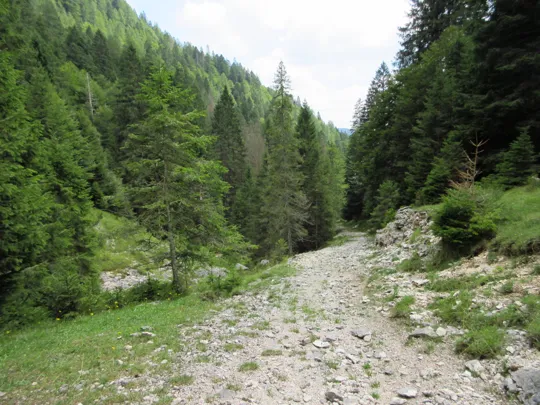 Dettaglio del percorso