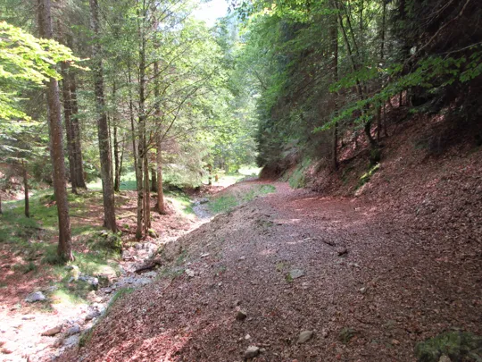 Dettaglio del percorso