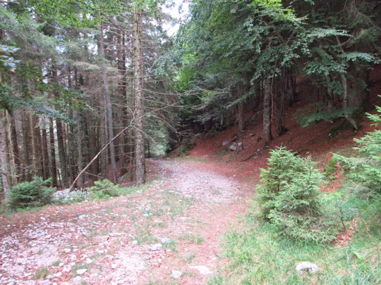 Dettaglio del percorso