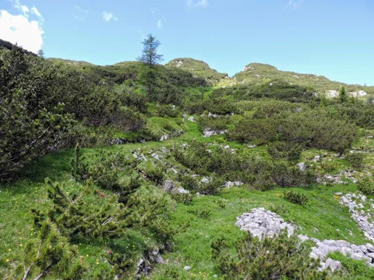Sentiero per Monte Pallone