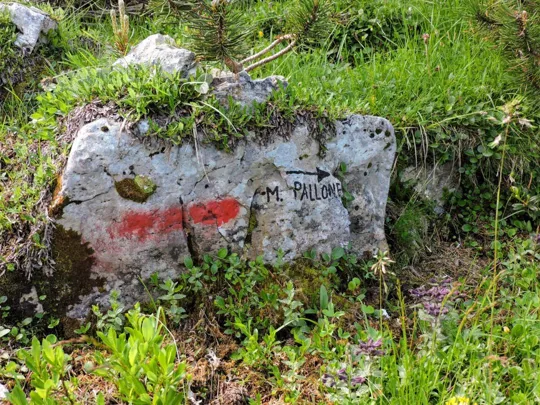 Sentiero per Monte Pallone