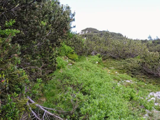 Sentiero per Monte Pallone