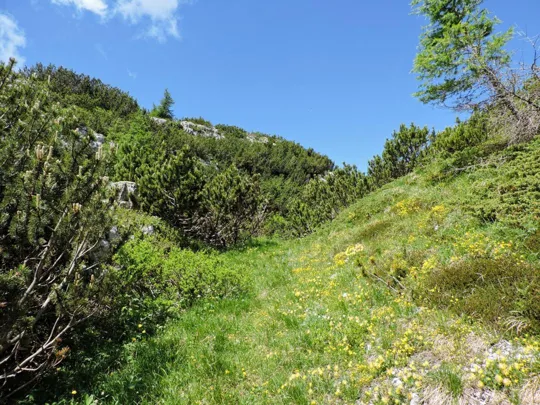 Sentiero per Monte Pallone