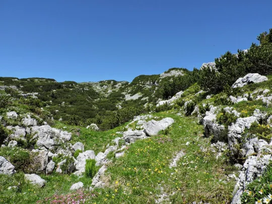 Sentiero per Monte Pallone