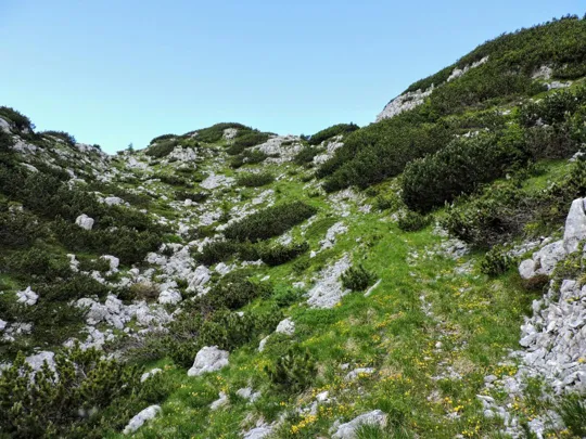 Sentiero per Monte Pallone