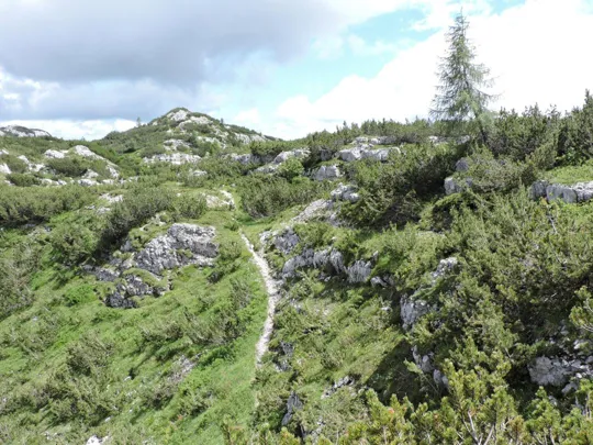Sentiero di ritorno da Monte Pallone
