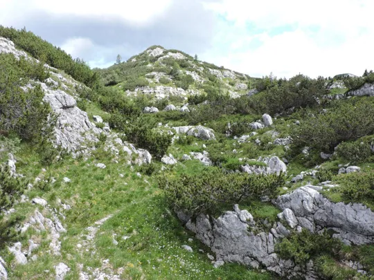 Sentiero di ritorno da Monte Pallone