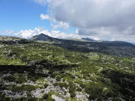 Monte Pallone vista verso l'Ortigara