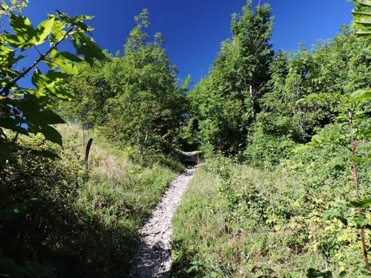 Monte Palon - dettaglio del sentiero