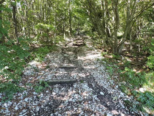 Monte Palon - dettaglio del sentiero