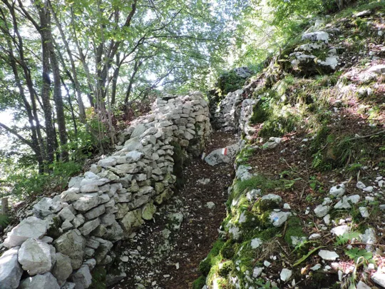 Monte Palon - sentiero in trincea