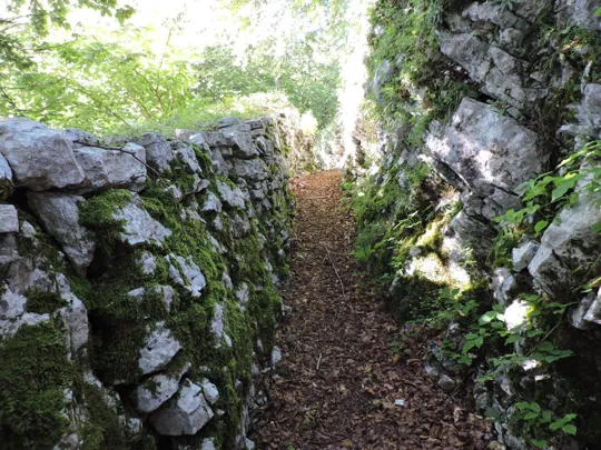 Monte Palon - sentiero in trincea