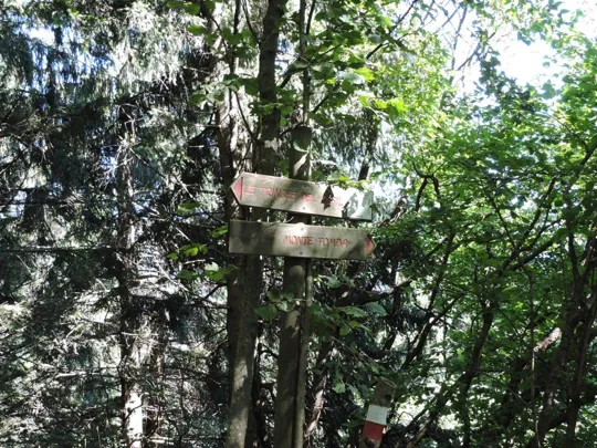 Monte Palon - Castel Cesil