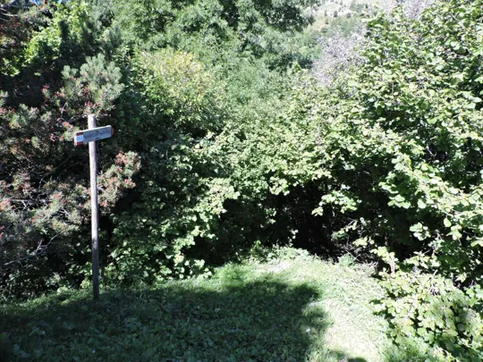 Monte Palon - dettagli del sentiero