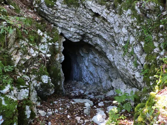 Monte Palon - dettagli del sentiero