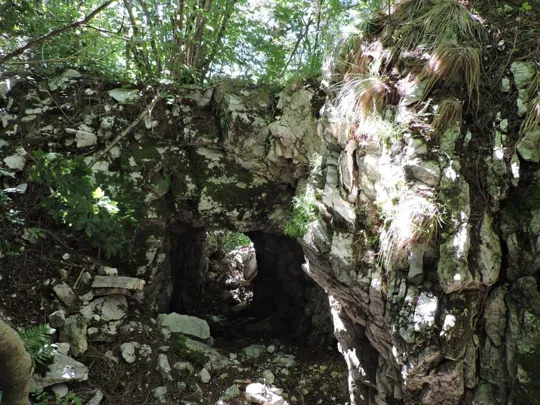 Monte Palon - dettagli del sentiero