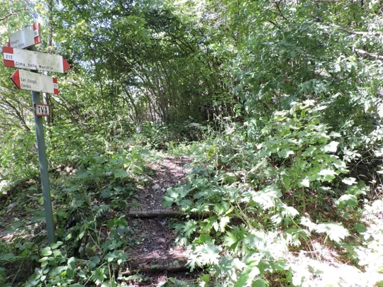 Monte Palon - dettagli del sentiero