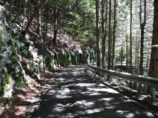 Monte Palon - strada di ritorno