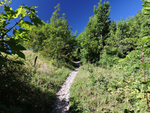 Monte Palon - dettaglio del sentiero