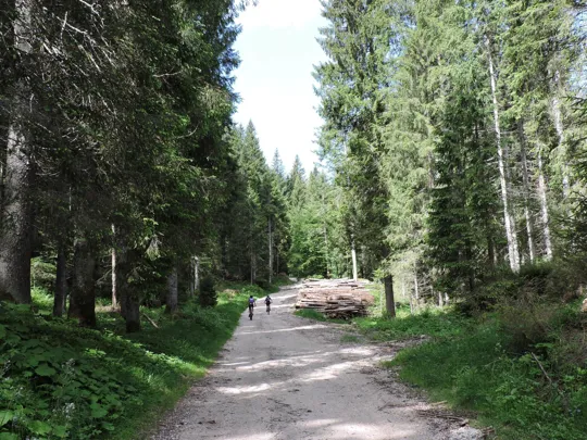 Dettaglio del primo pezzo del percorso