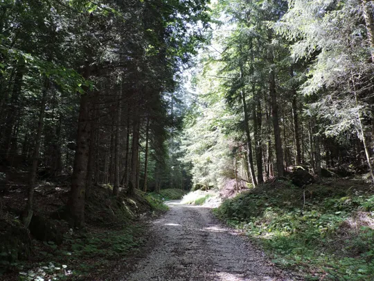 Particolare del percorso