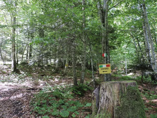 Indicazioni del sentiero verso gli accampamenti partigiani