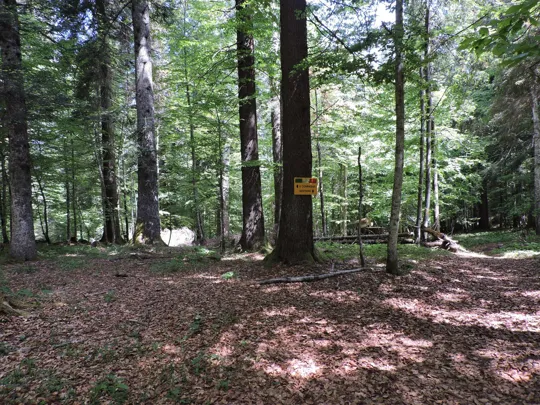 Indicazioni verso l'accampamento della &quot;II compagnia&quot;