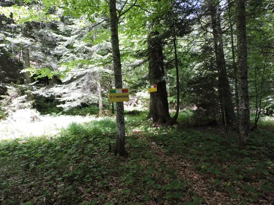 Zona di accampamento della &quot;II compagnia&quot;