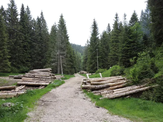 Arrivo alla strada verso il rifugio Granezza