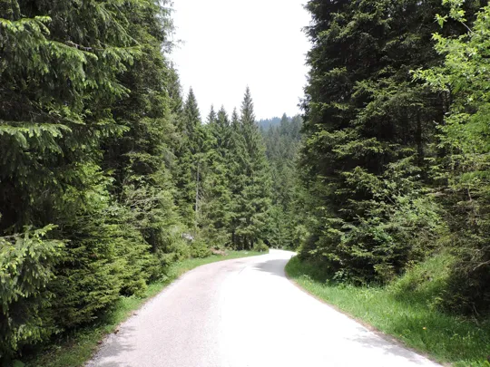 Dettaglio della strada