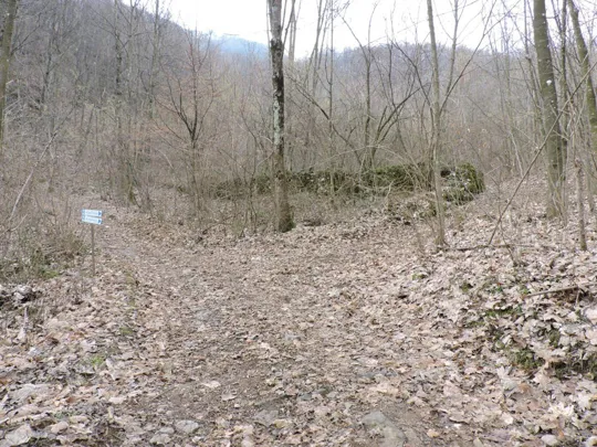 Particolare dell'incrocio