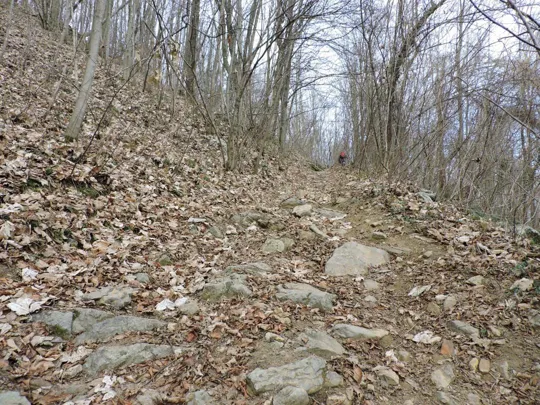 particolare del sentiero