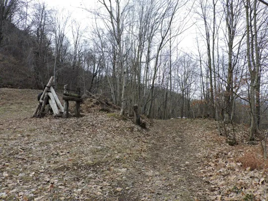 Arrivo della teleferica per il legname