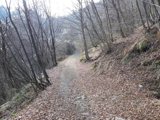 Particolare del sentiero