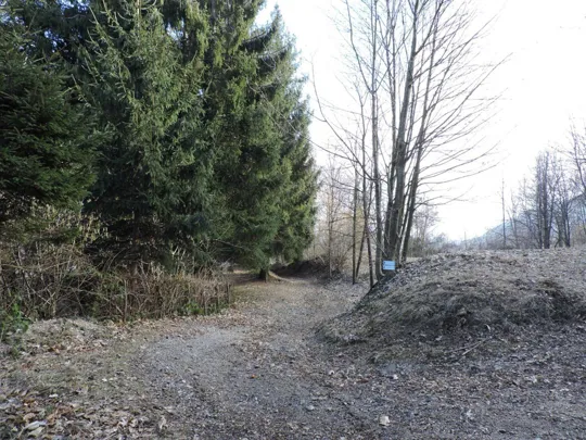 Incrocio con Ortogonale 1