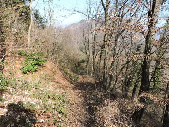 Particolare del sentiero dopo il tornante