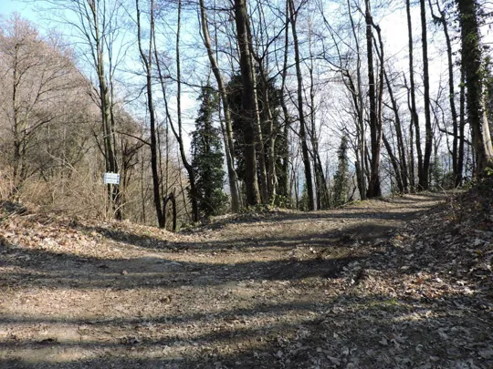 Incrocio al passo Manfron