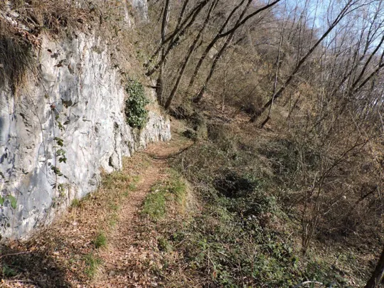 Particolare del sentiero verso il monte Singio