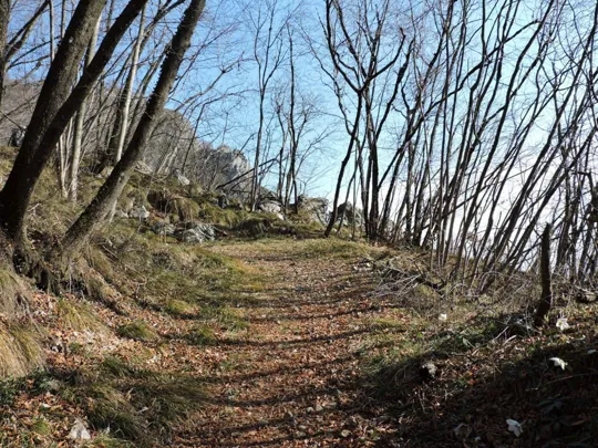 Particolare del sentiero verso il monte Singio