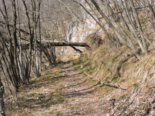 Particolare del sentiero verso il monte Singio