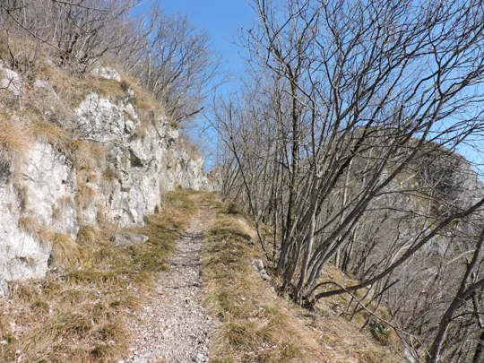 In costa del monte Singio