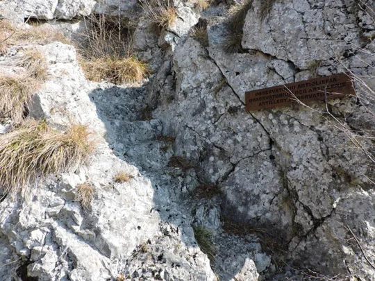 Monte Singio - gradini di roccia verso l'osservatorio