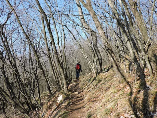 Particolare del sentiero verso il monte Cengio