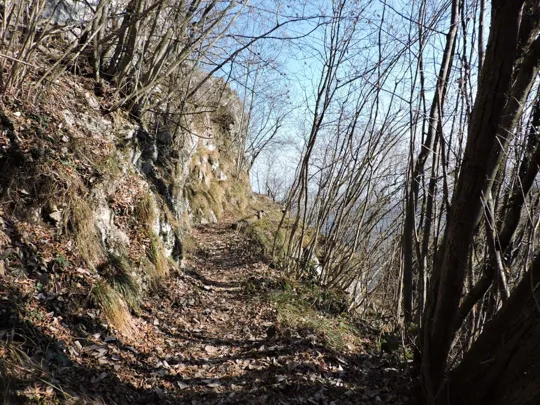 Mulattiera del Cengio